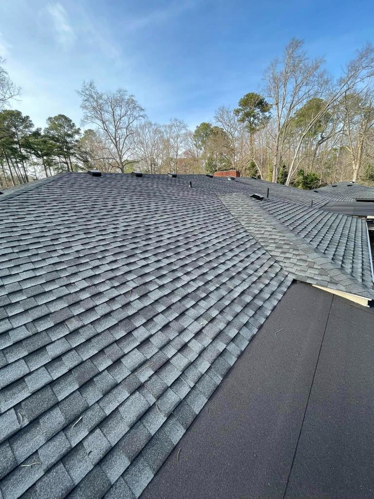 shingle roof 2